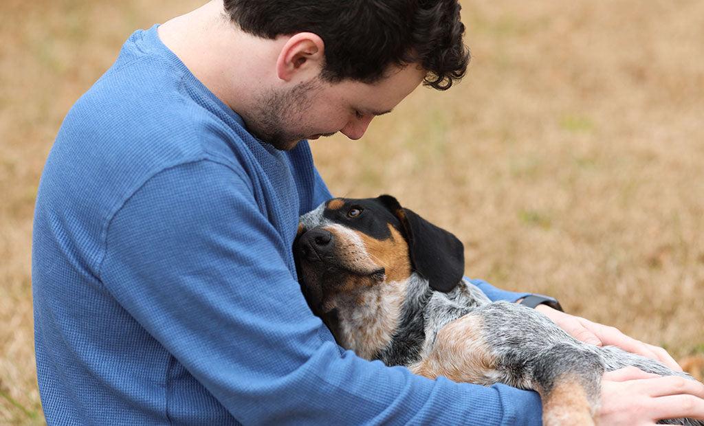 Wissen Hunde, wann wir krank sind?